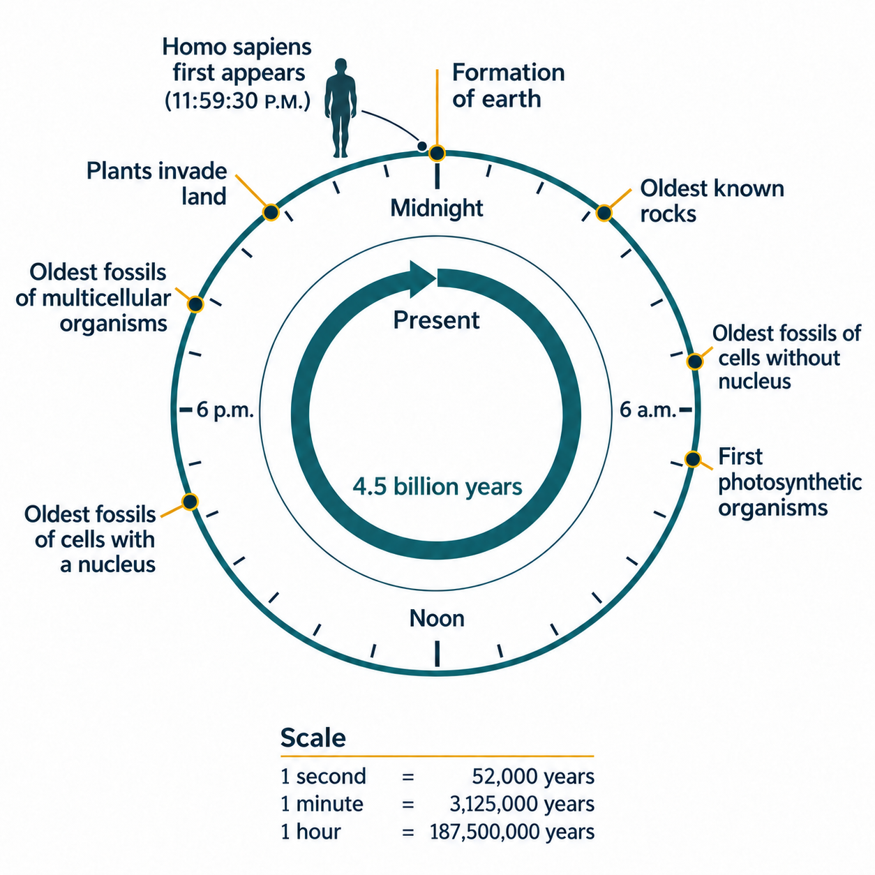 The history of Earth shown on a 24-hour clock